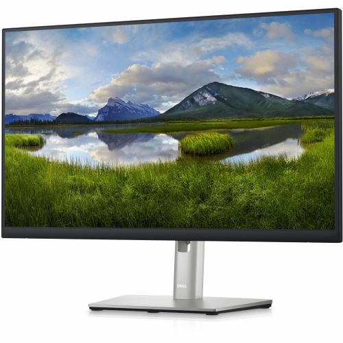 Dell P2423D monitor, 60,45 cm (23,8''), WQHD (2560 x 1440), 16:9, 8 ms, IPS, DisplayPort, HDMI, USB, pivot, crna i srebrna