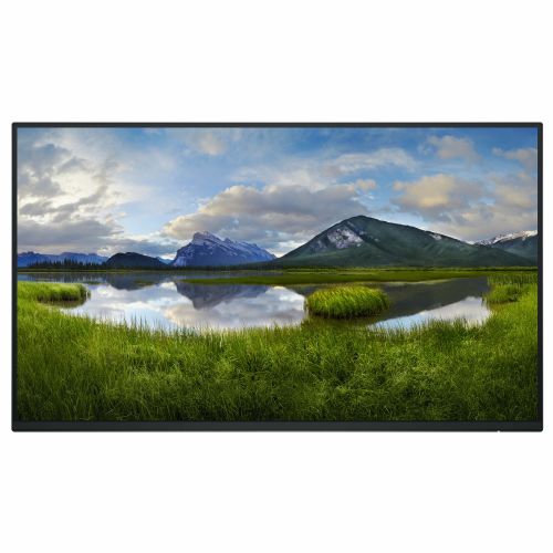 Monitor Dell P2425HE 61 cm 24" FHD IPS 100 Hz USB-C RJ45 brez stojala črna/srebrna