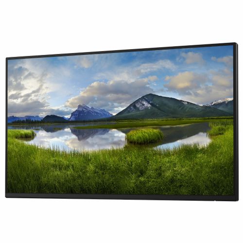 Monitor Dell P2425HE 61 cm 24" FHD IPS 100 Hz USB-C RJ45 brez stojala črna/srebrna