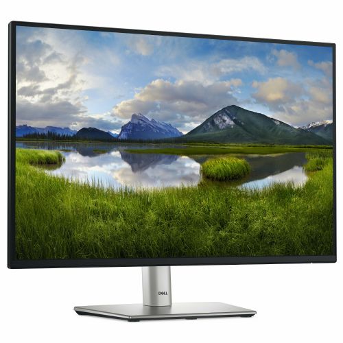 Monitor Dell P2425, 61,10 cm (24,1"), 1920 x 1200 (FHD+), 16 : 10, FHD, IPS, 5 ms, 100 Hz, HDMI, DP, VGA, USB-C (15W), črno-srebrn