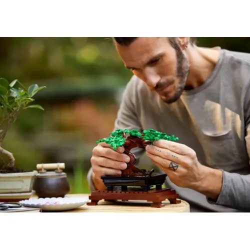 Lego Icons Botanička kolekcija: Bonsai (10281)