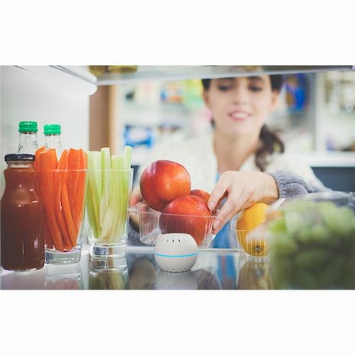 Home Shelly senzor "H&T" WiFi senzor temperature i vlažnosti baterija bijela