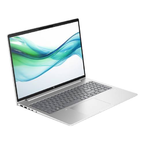 Prenosnik HP ProBook 460 G11, Intel Ultra 5-125U/16 GB/SSD 1 TB NVMe/40,6 cm (16"), WUXGA, 300 niti/Win11Pro, siv (A38DXET)