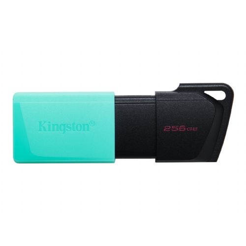 KINGSTON 256 GB DataTraveler Exodia M