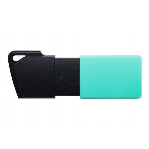 KINGSTON 256 GB DataTraveler Exodia M