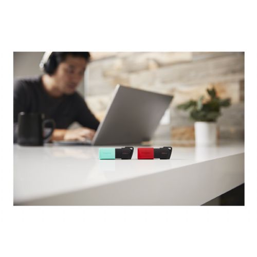 KINGSTON 256 GB DataTraveler Exodia M