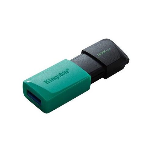 KINGSTON 256 GB DataTraveler Exodia M