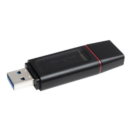 KINGSTON 256 GB USB 3.2 Gen 1 DataTraveler Exodia Black + Pink