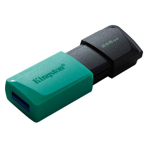 KINGSTON DataTraveler Exodia M 256GB USB 3.2 Gen1 (DTXM/256GB) USB ključ