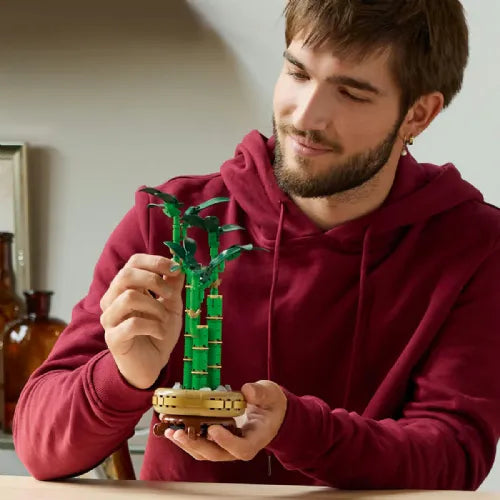 Kocke Lego Botanical Collection: Bambus za srečo (10344)