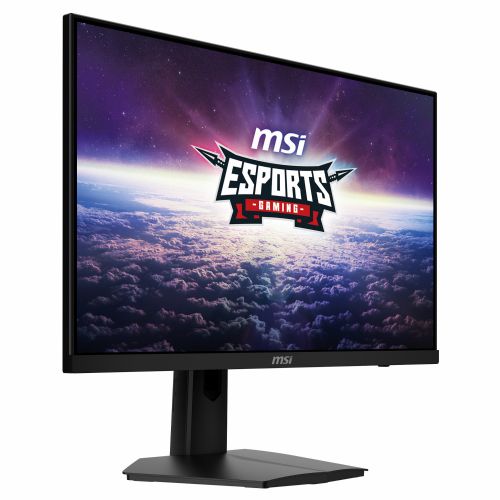 MSI monitor G244F E2 (G244F E2)