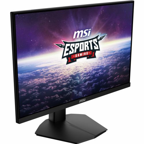 MSI monitor G244F E2 (G244F E2)