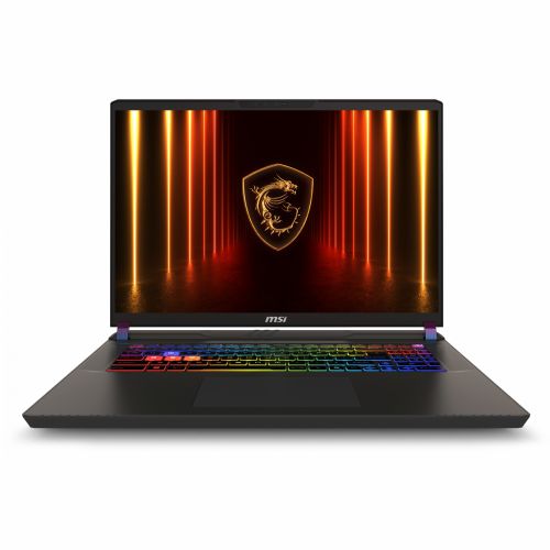 MSI Vector 17 HX AI A2XWJG-039 (siva, Intel Core Ultra 9 275HX, NVIDIA GeForce RTX 5090 32 GB DDR5, 2 TB SSD, Windows 11 Home 64-bit)