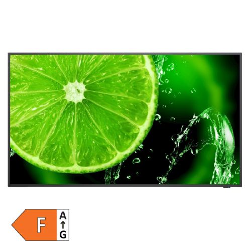 Monitor NEC MultiSync E328-2 80cm (32") FHD IPS 16/7 zvočniki informacijski