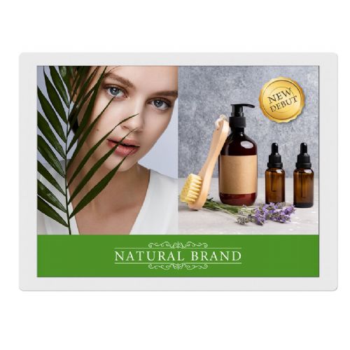 Informacijski zaslon SHARP EP-C131 33,8 cm (13,3") USB-C ePaper 4:3