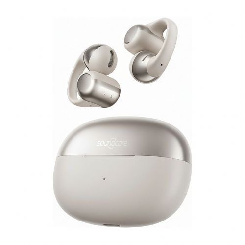 Shokz OpenDots One siva