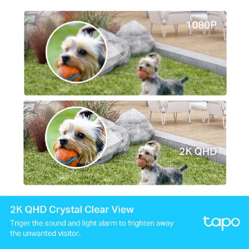 TP-LINK Tapo C420S1 4MP 2K QHD 3,18mm dnevna/nočna WiFi črno/bela brezžična zunanja nadzorna kamera
