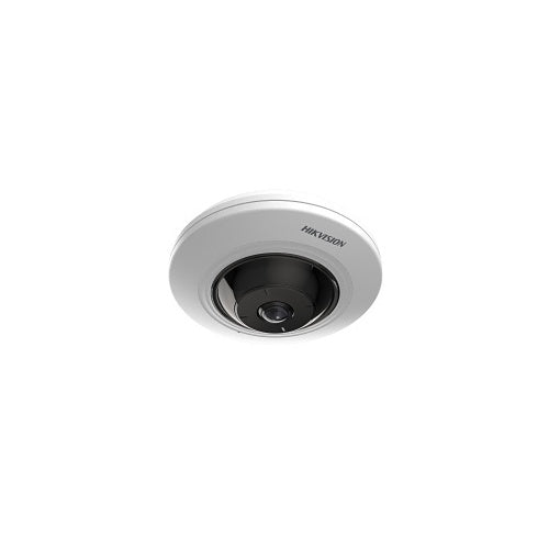 Varnostna kamera Hikvision DS-2CD2955G0-IS(U) 5MP, širokokotni 180°, nočni vid, WDR, vgrajen mikrofon