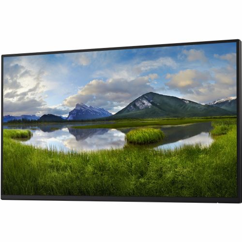 Monitor Dell P2425HE 61 cm 24" FHD IPS 100 Hz USB-C RJ45 brez stojala črna/srebrna
