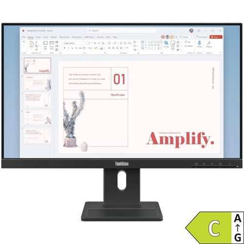 Monitor Lenovo ThinkVision E24-40 23.8" 60,45cm  IPS 16:9 1920x1080 100Hz 250cd/m2 1300:1 4ms 1xHDMI 1.4 1xDP 1.2 1xVGA 99 sRGB 2Wx2