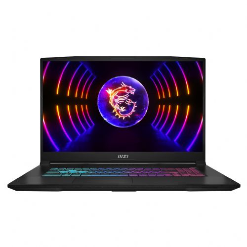 MSI Katana 17 - NVMe SSD - 43,9 cm (17,3")