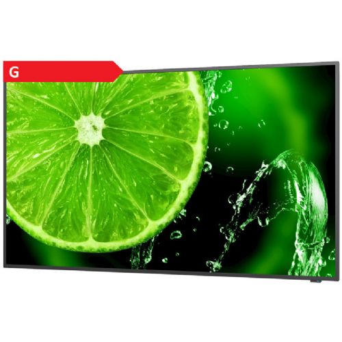 LCD informacijski monitor NEC Multisync E558, 139cm (55"), 3840 x 2160 (4K UHD), IPS, 8 ms, 350 cd/m2, 60 Hz, HDMI, VGA, črn