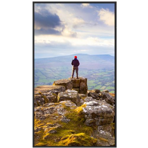 Monitor Sharp PN-E329 31,5" FHD, HDMI/USB-C, proti bleščanju, pokončna ali ležeča postavitev, vgrajen medijski predvajalnik